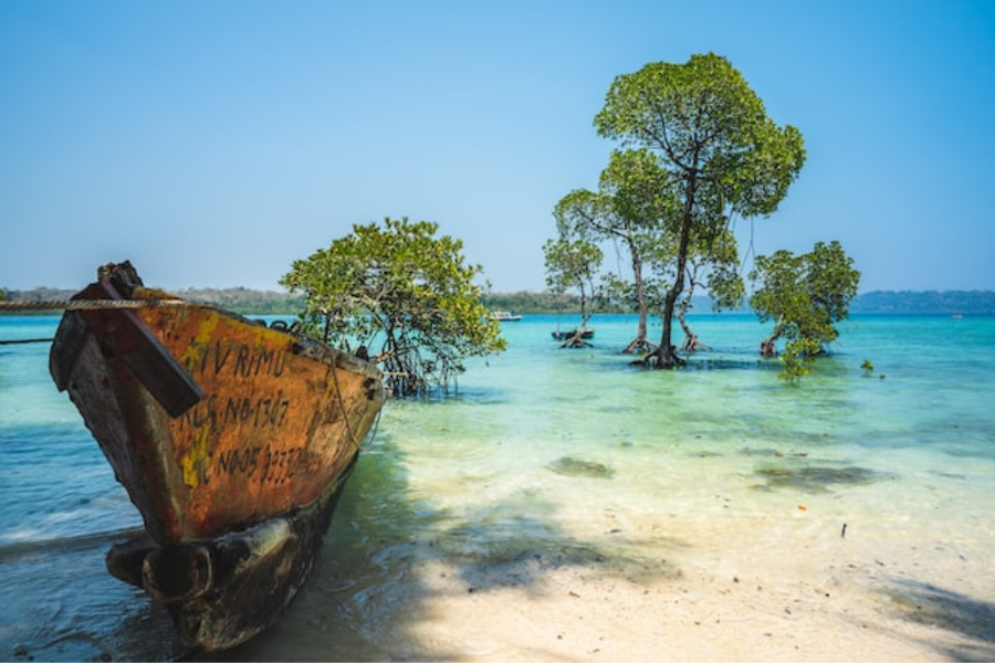 <span> DAY 01</span>Arrival at Port Blair, Cruise to Havelock and Visit Radhanagar Beach