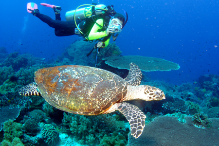 Scuba Diving (Boat)