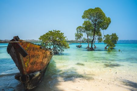 Tropical Andaman With Diglipur & Neil Island | Premium Package