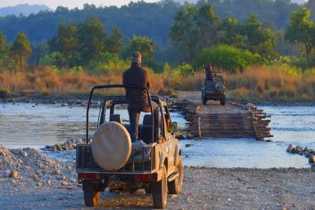 Jim Corbett National Park | 4 Days