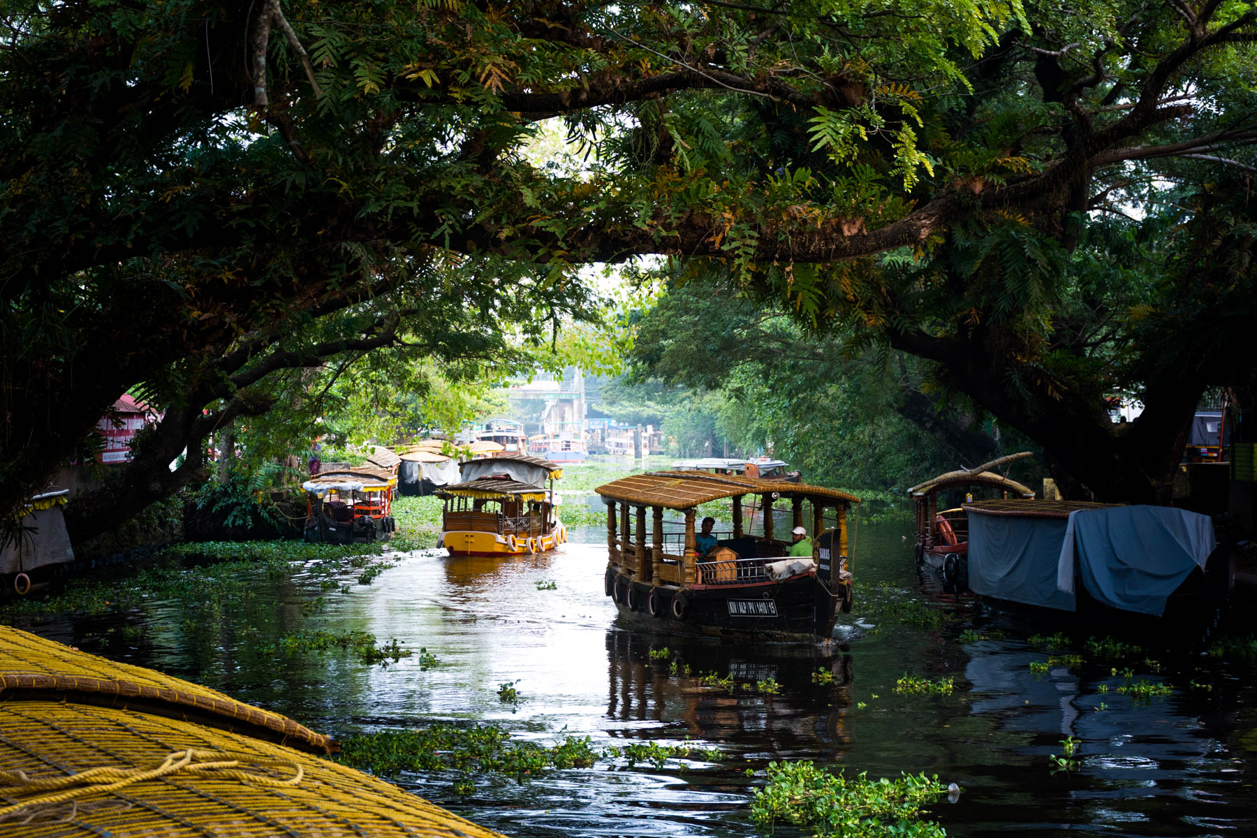 <span> DAY 04 </span> Thekkady to Alleppey