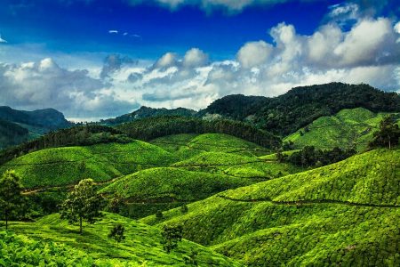 Cochin – Munnar – Thekkady – Alleppey – Kumarakom – Kovalam | 9 Days