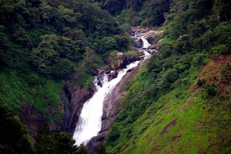 Cochin – Munnar – Thekkady – Alleppey | 6 Days