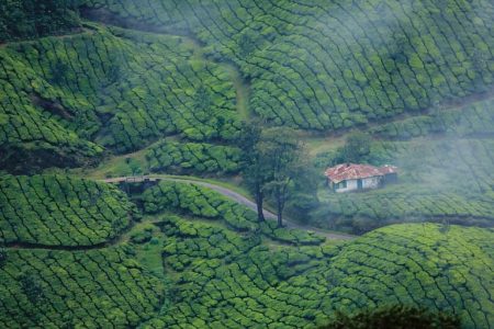 Munnar – Thekkady | 4 Days