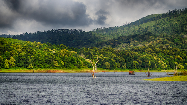 <span> DAY 04 </span> Munnar to Thekkady with Thekkady Sightseeing