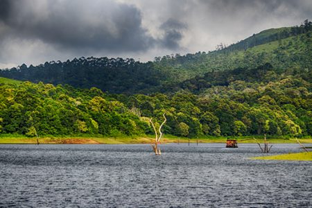 Munnar – Thekkady | 4 Days