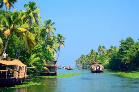 Cochin – Munnar – Thekkady – Alleppey – Kumarakom – Kovalam | 9 Days