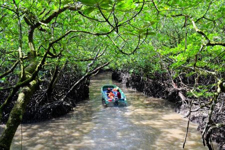 Fun Filled Andamans | Premium Package